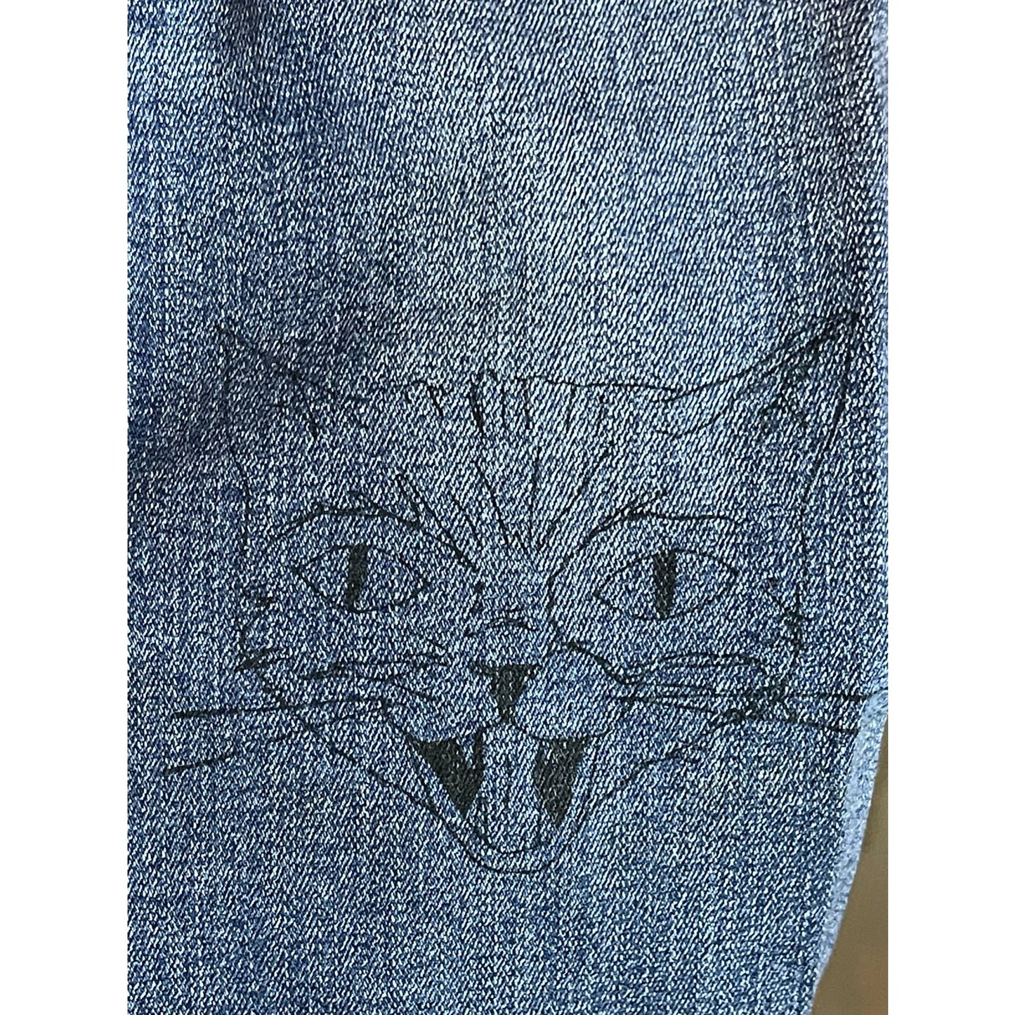 American Eagle Jegging Hot Rod Super Stretch Car Patch Distressed Jeans Size 2L