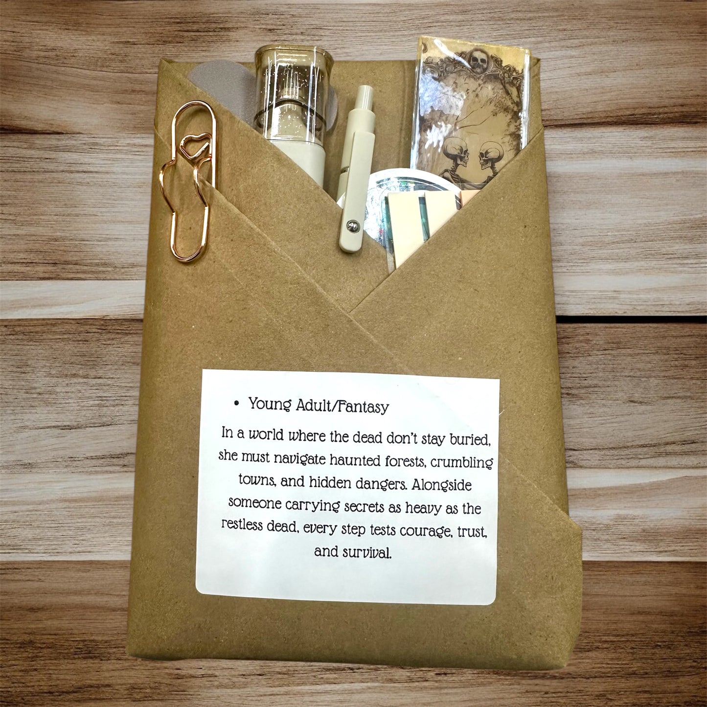 Blind Date With a Book | Surprise Mystery Novel | Wrapped Book Lover Gift
