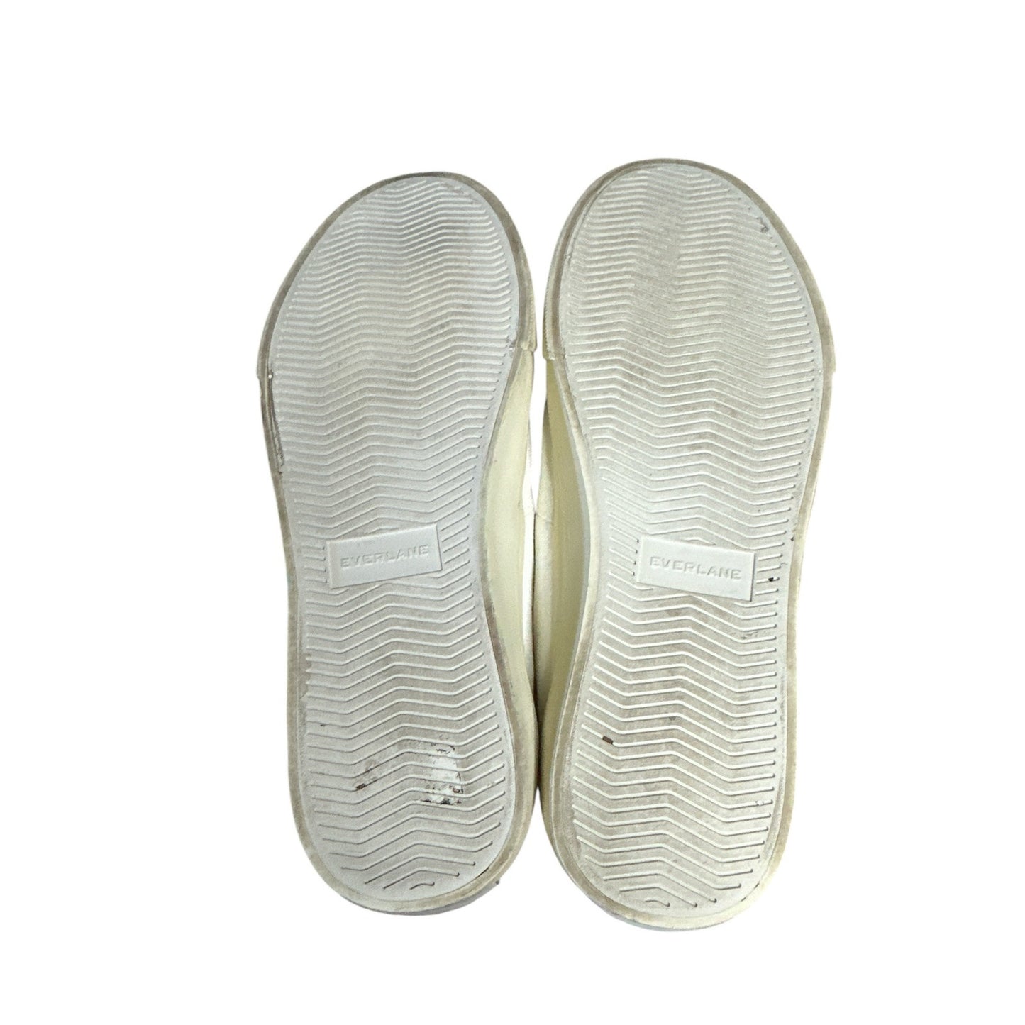 Everlane White Canvas High Tops Lace Up Sneakers Size Women’s 8